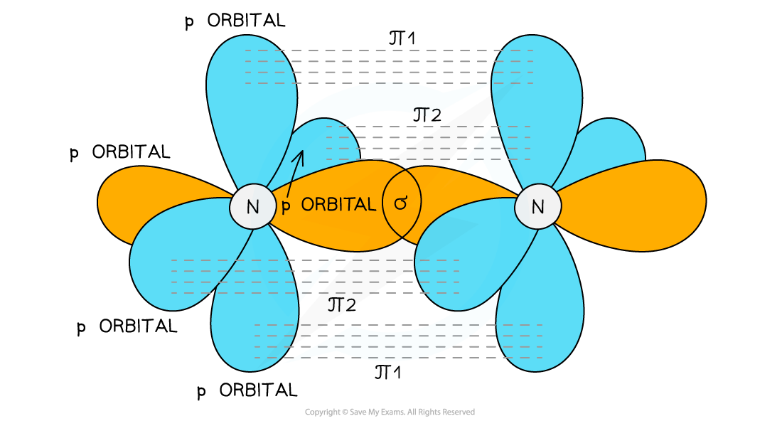 How Many Bonds Does Nitrogen Form Asking List 