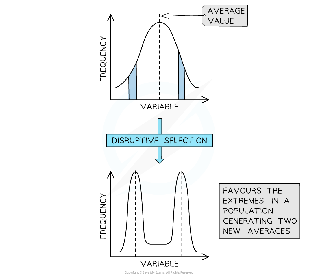 10-3-2-evolution-graph-3