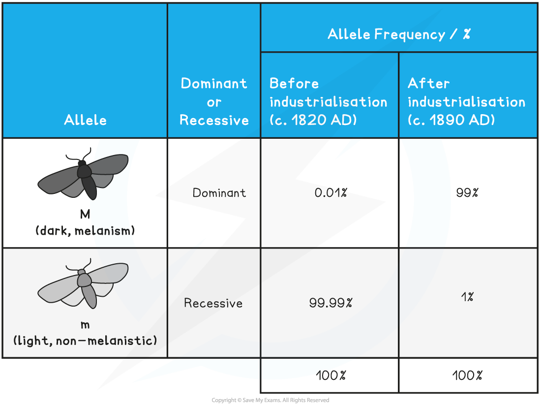 10-3-2-evolution-table-1