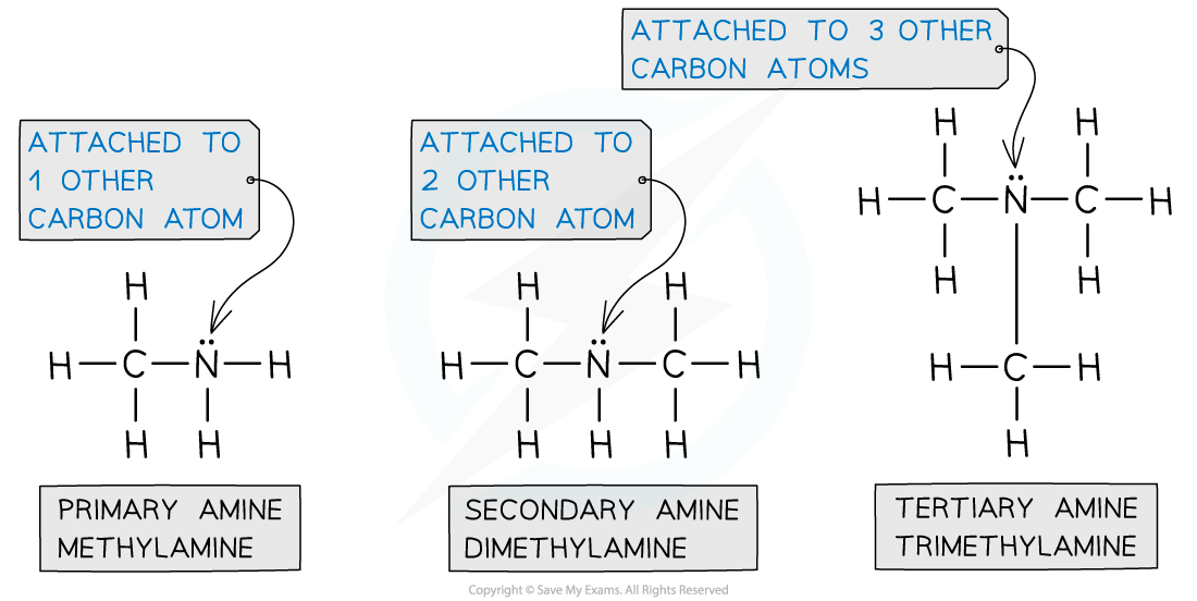 10.1.11-Primary-Secondary-Tertiary-Atoms-1