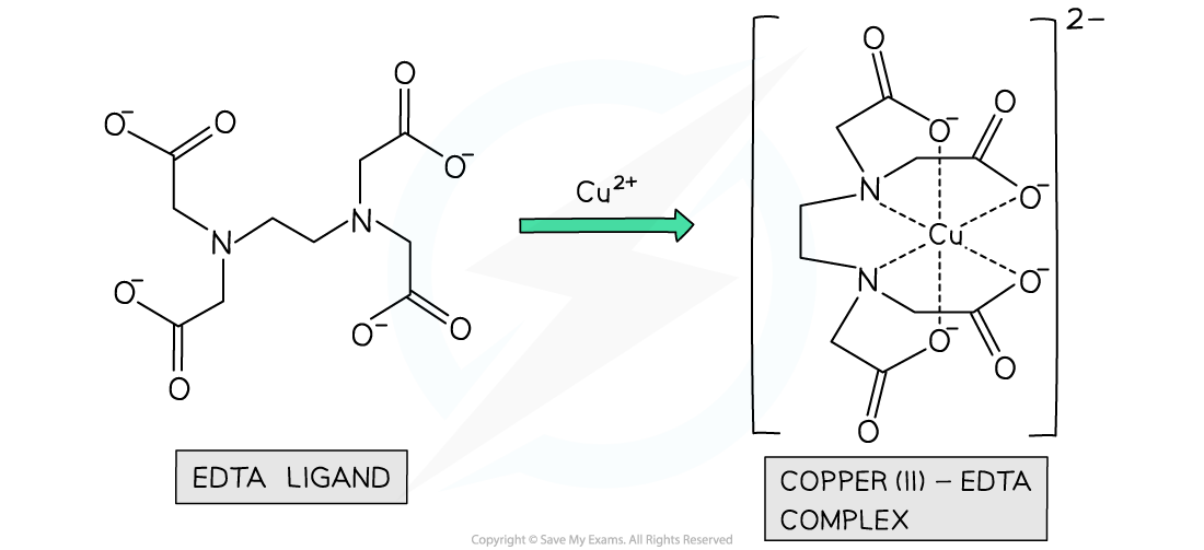 13.1.3-Example-of-a-multidentate-ligand