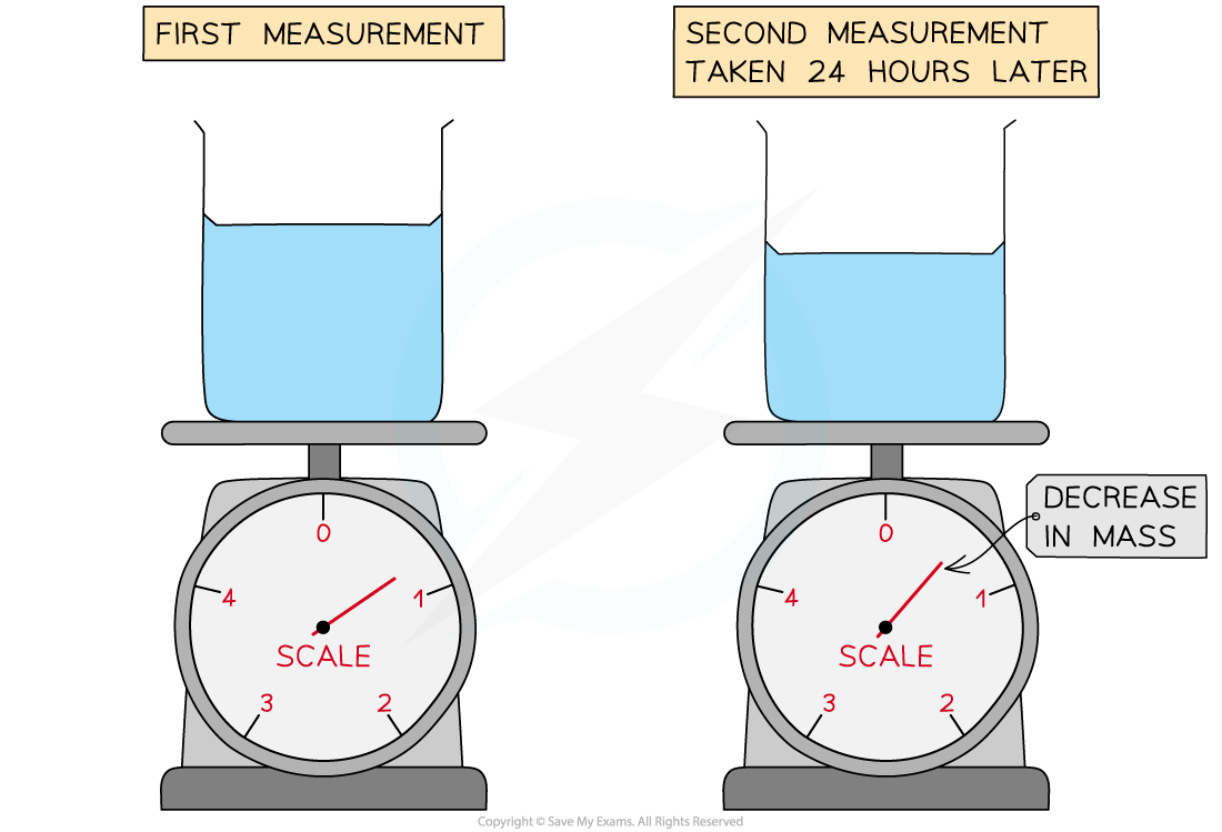 14.1.4-WE-Decrease-in-mass-Question-image