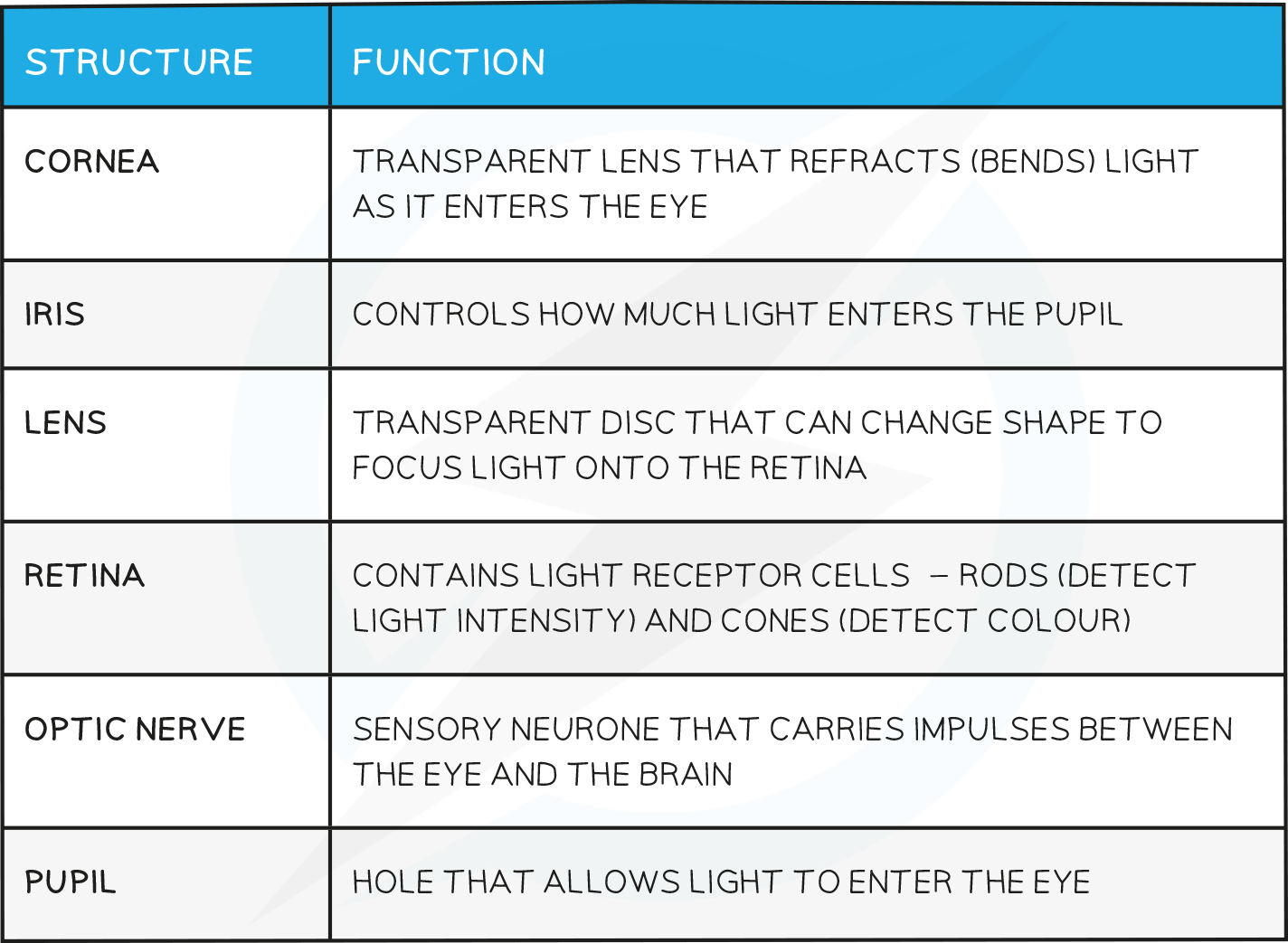 14.3-Function-of-the-parts-of-the-eye-table