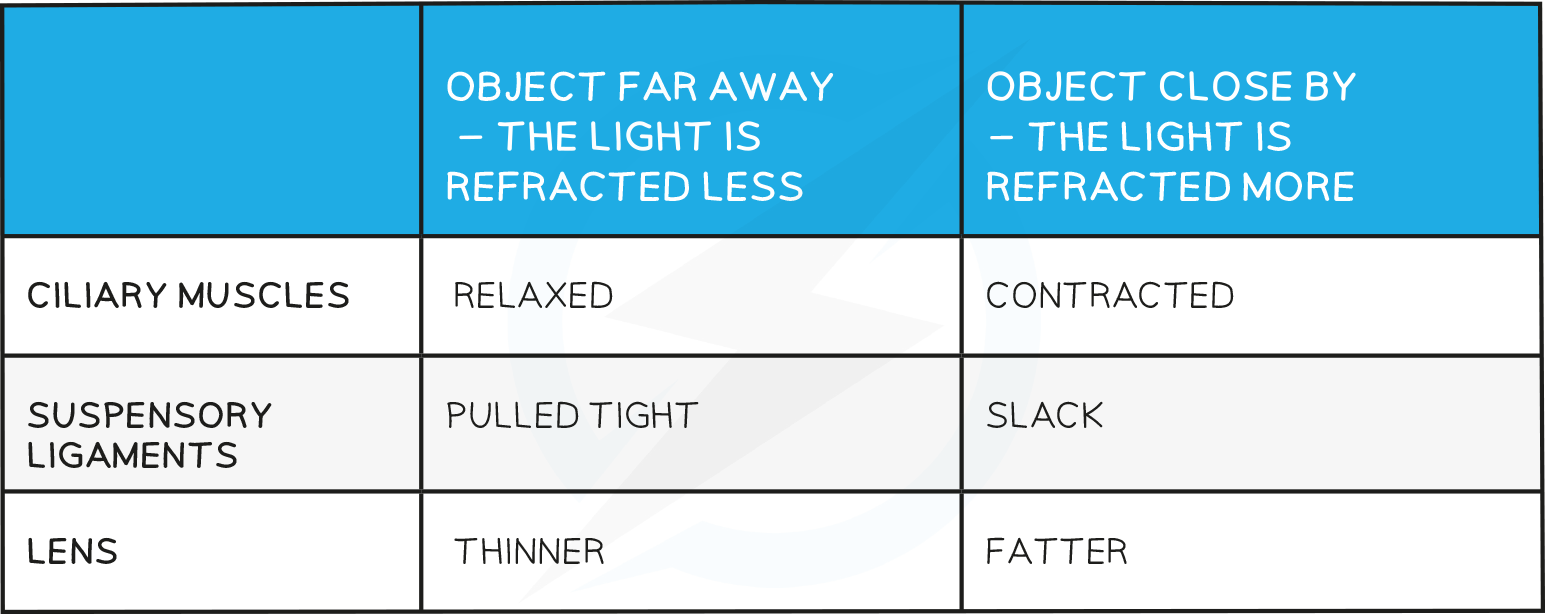 14.3-the-eye-when-an-object-is-far-away-table