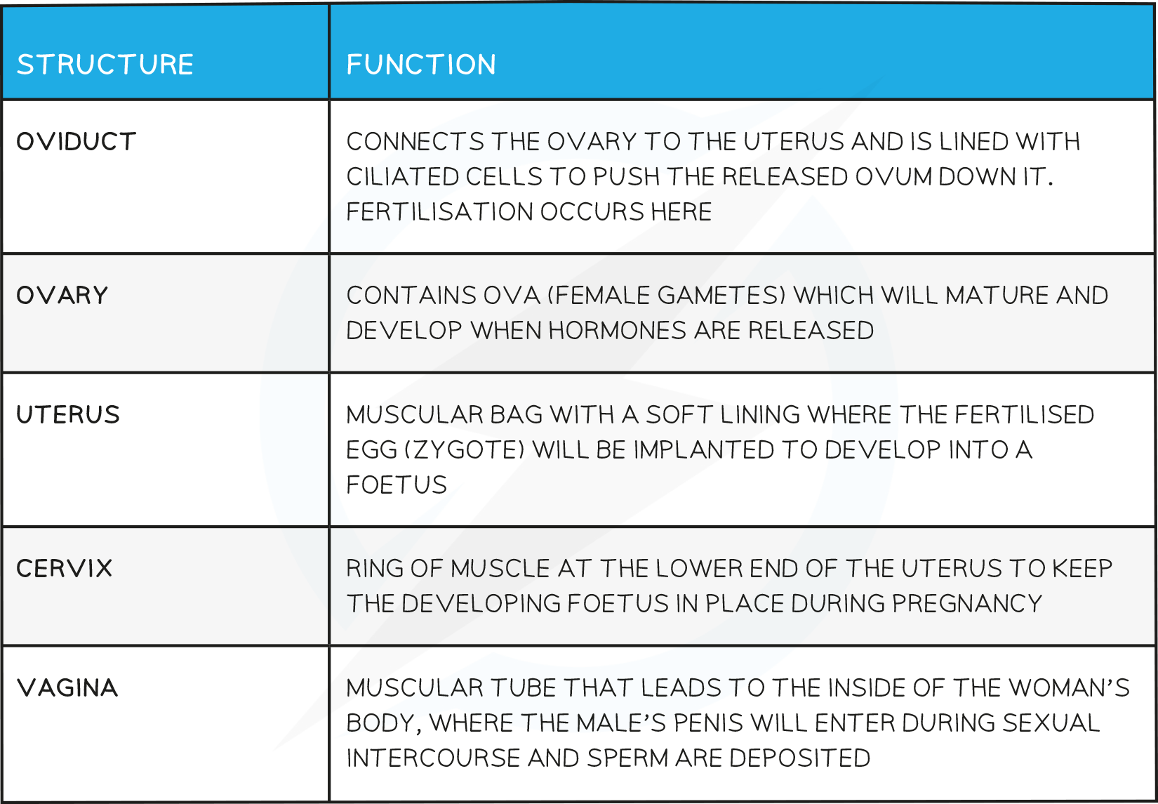 16.4-The-Female-Reproductive-System-table