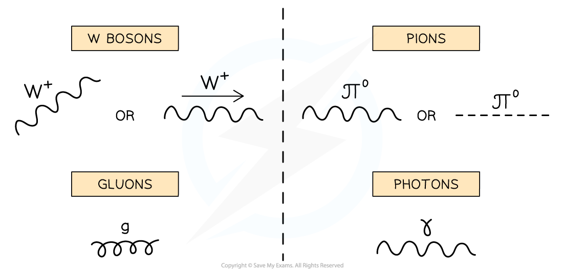 2.3.4-Gauge-Bosons-Feynman-Diagrams