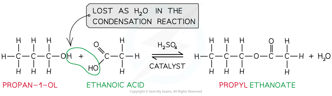 3.6-Carboxylic-Acids-Derivatives-Production-of-Esters-1