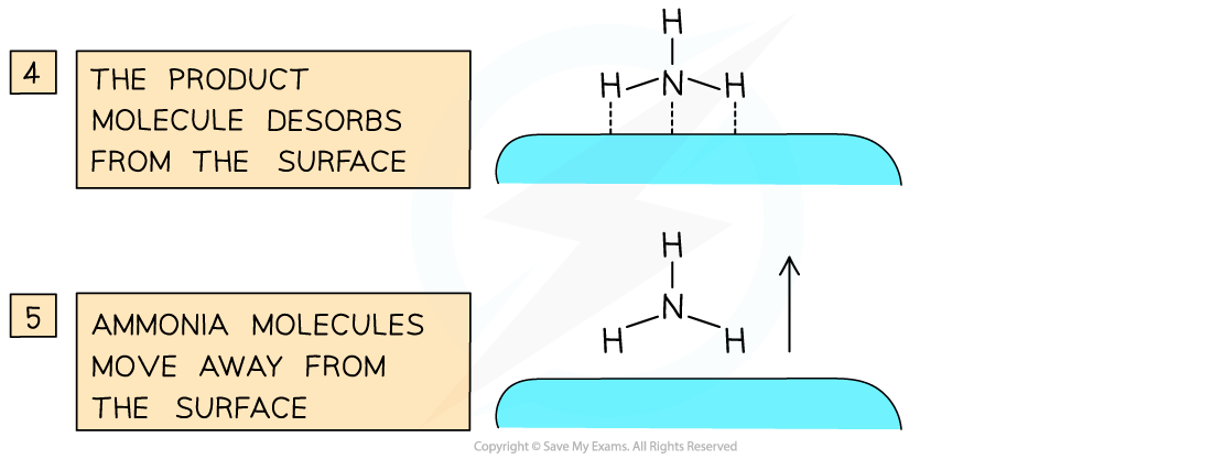 5.6-Reaction-Kinetics-Iron-Catalyst-2