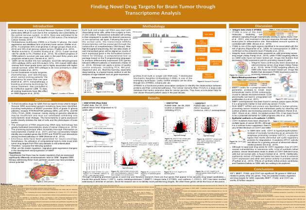 讲座回顾 | 不进实验室也能做科研？ISEF现代生物学、行为学赛道全攻略新鲜出炉！