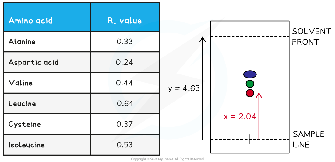 7.11.5-TLC-Worked-example-achromatogram