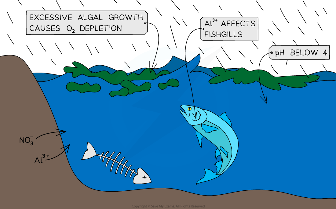 8.1.14-Impact-of-Acid-Deposition-on-Waterways-1