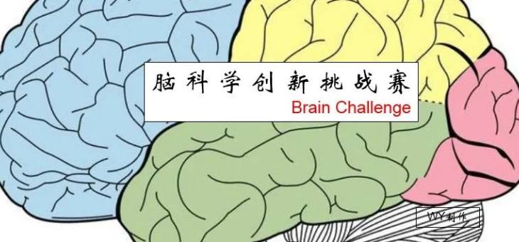 脑科学创新挑战赛（Brain Challenge）2022新赛季报名中！
