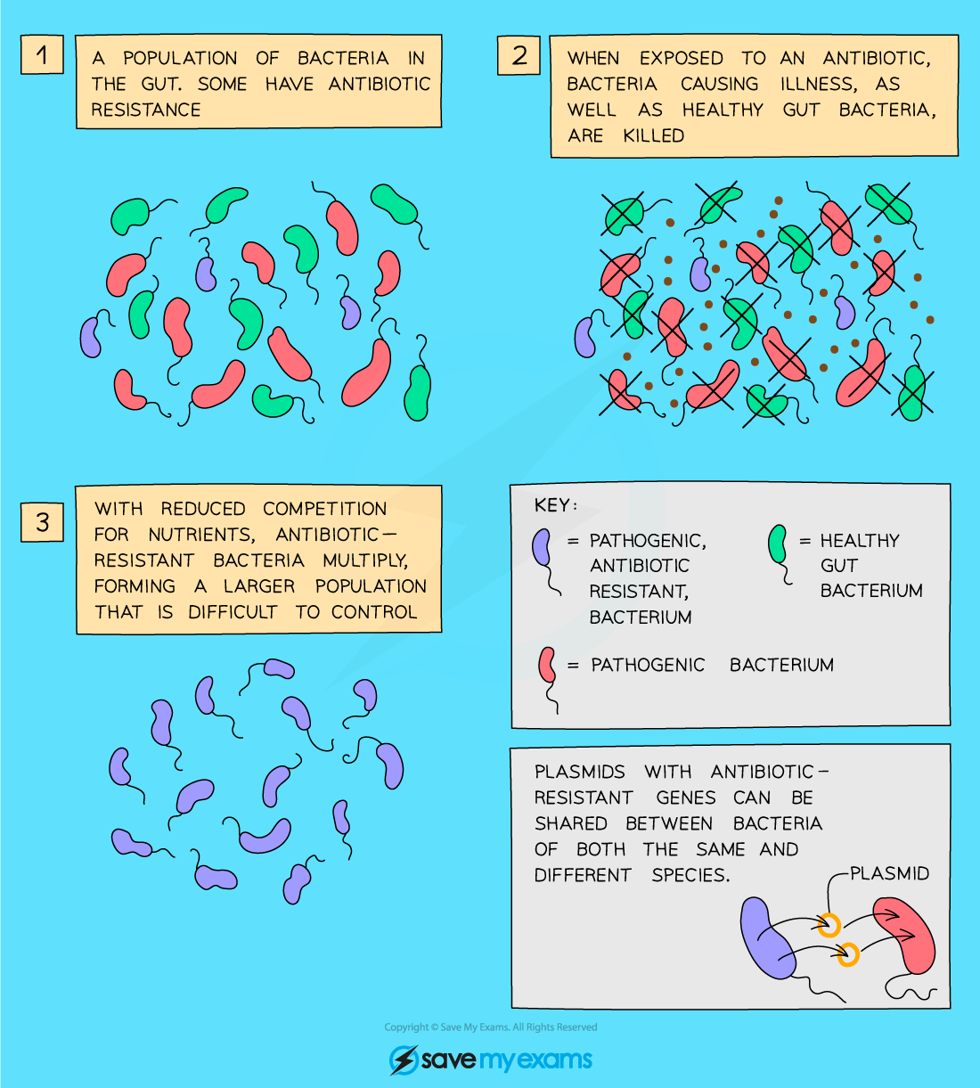 Antibiotic_resistance