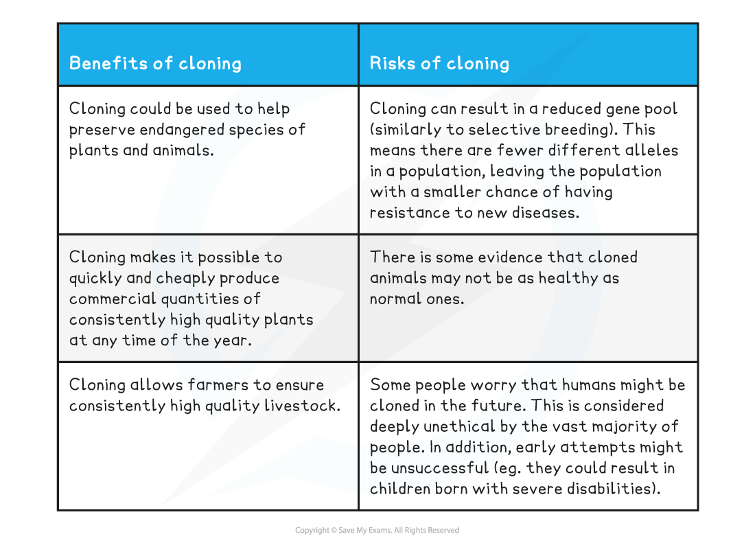 Benefits-and-risks-of-cloning-table