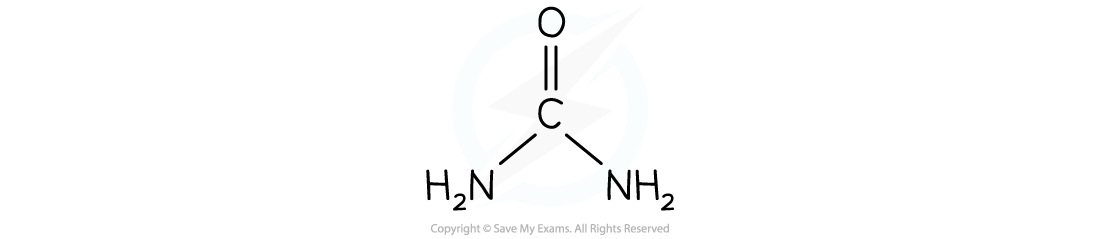 Chemical-Structure-of-Urea