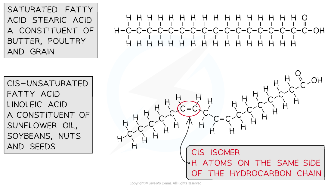 Cis-Fatty-Acid-Structure