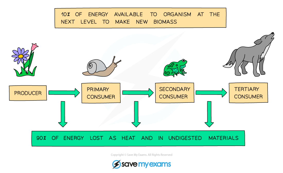 Energy-losses