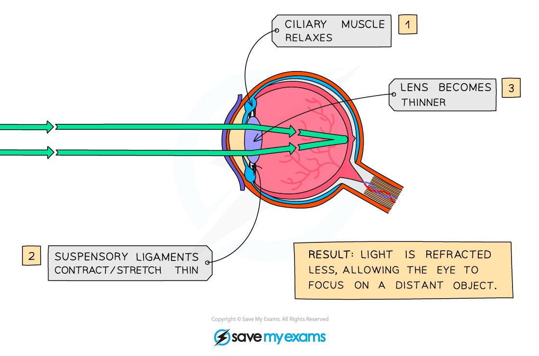 Eye-when-an-object-is-far-away