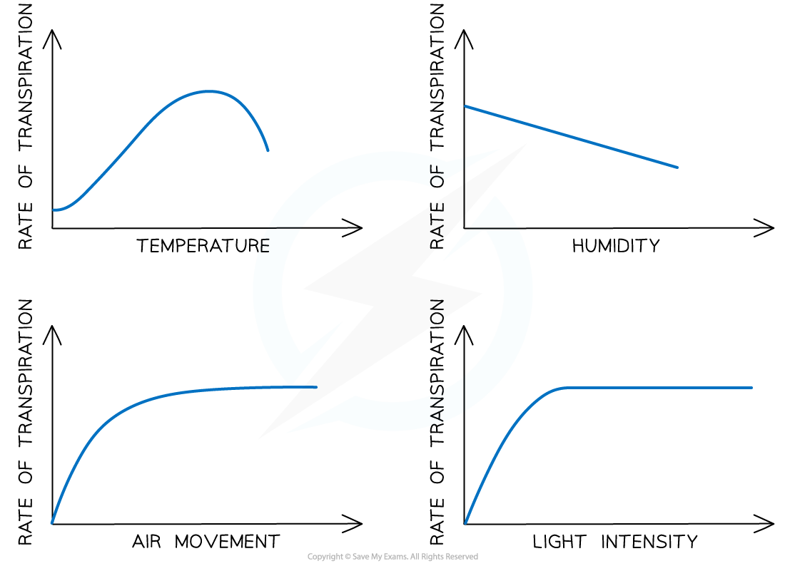 Factors-affecting-rate-of-transpiration