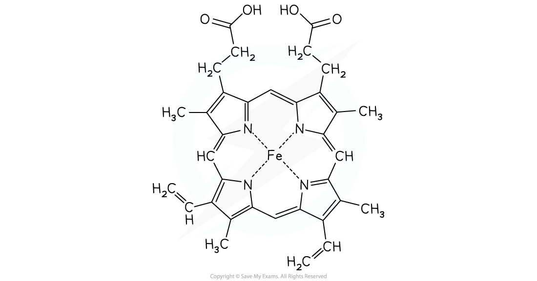 Haemoglobin