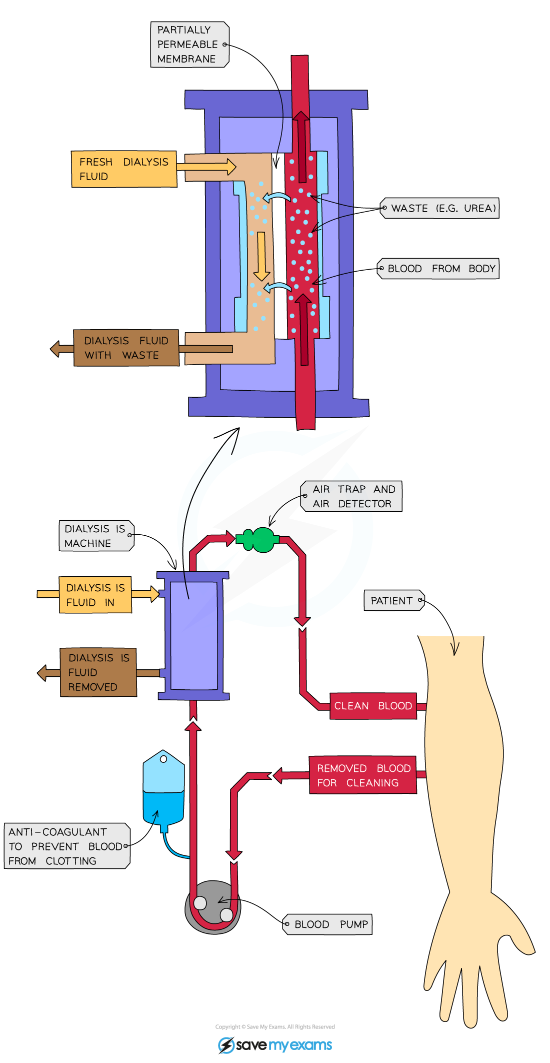 How-dialysis-works