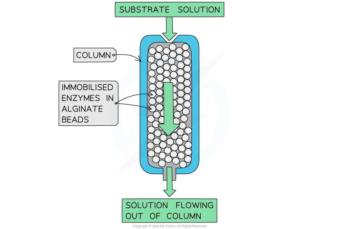 Immobilised-enzyme-column
