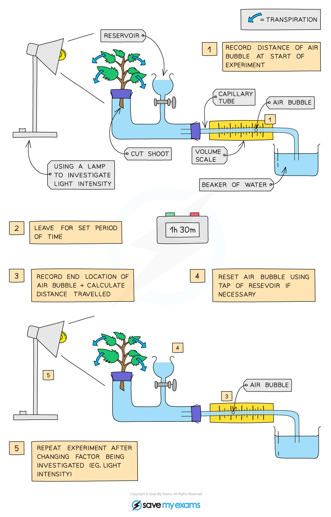 Investigating-transpiration-rates-using-a-potometer