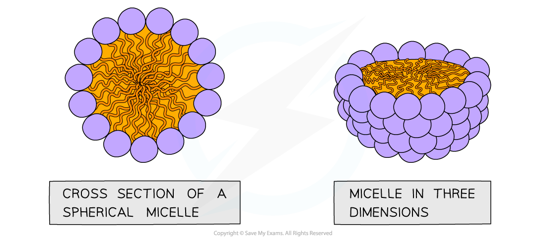 Micelle