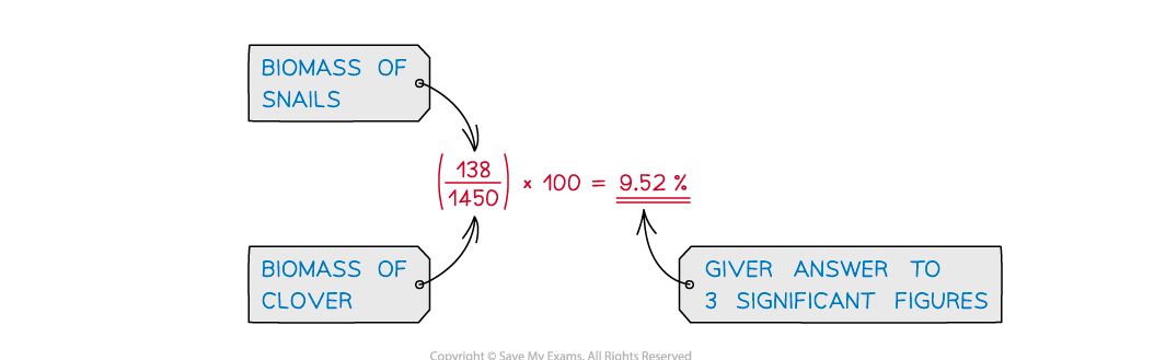 New-WE-calculating-efficiency-of-biomass-transfers_2