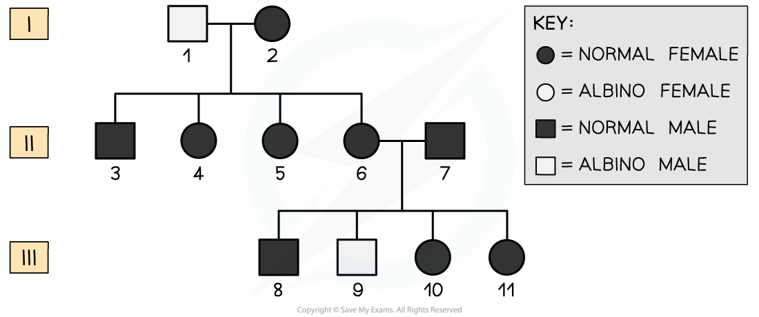 Pedigree-chart-of-albinism
