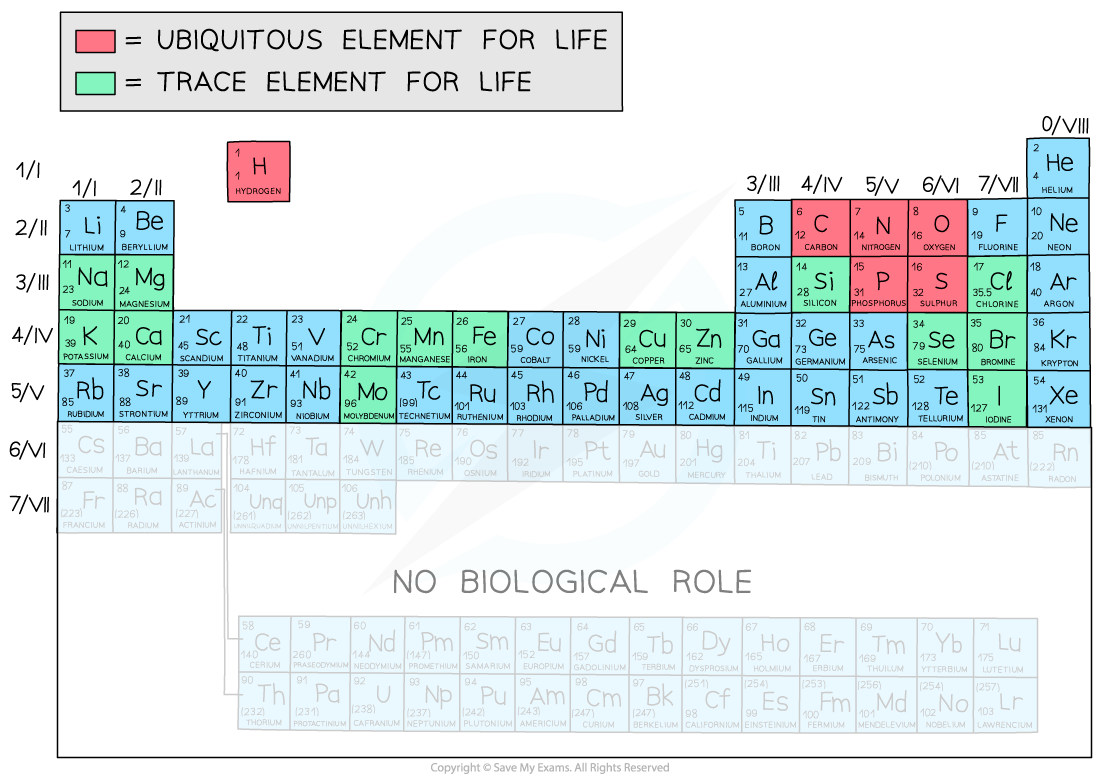 ib-dp-biology-hl-2-1-1-molecules