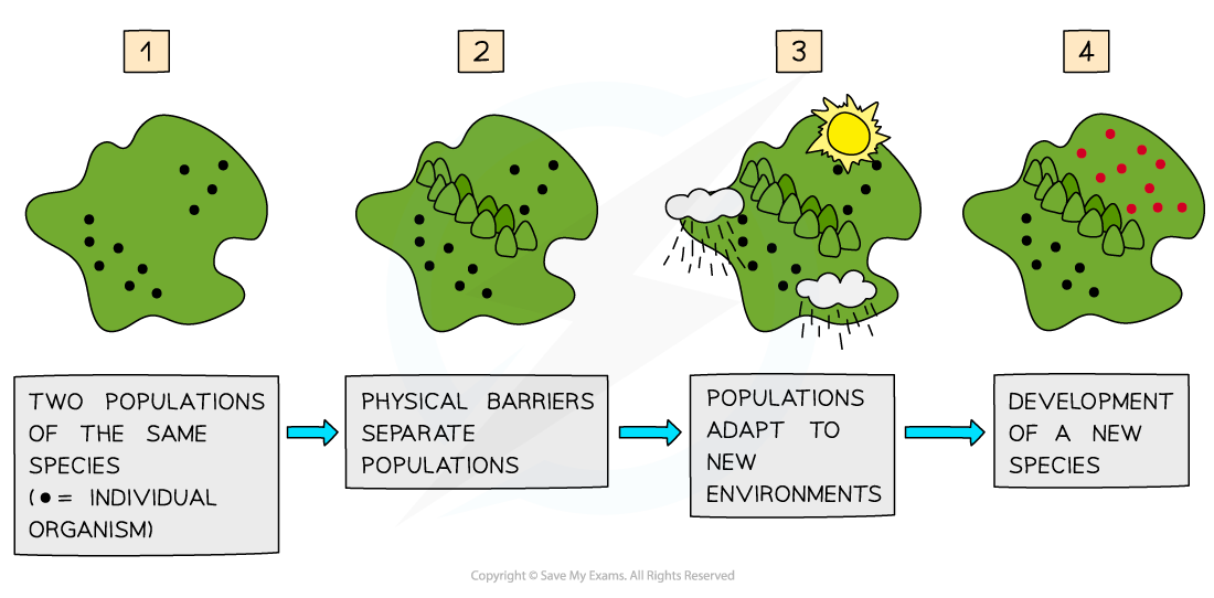 Speciation