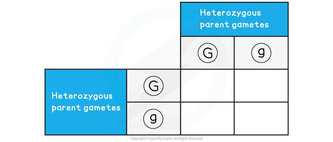 Step-5