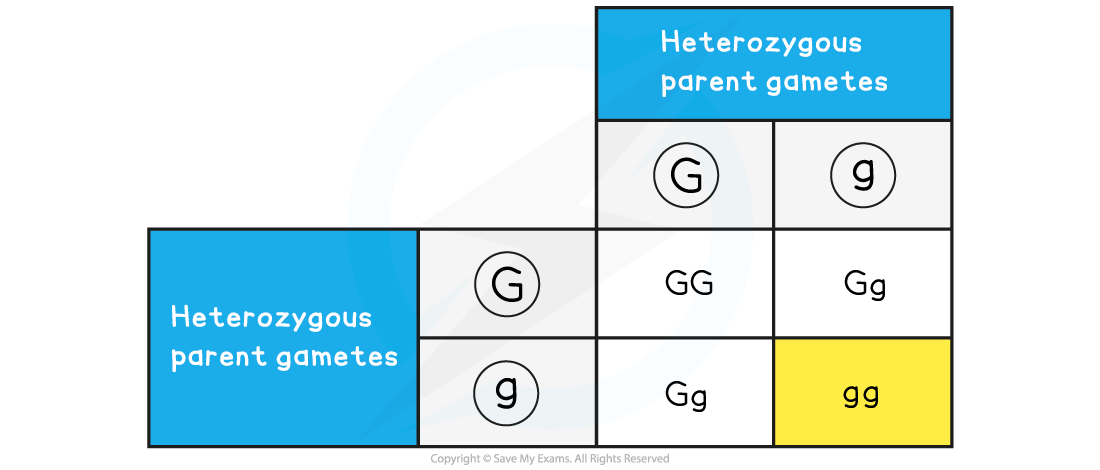 Step-6