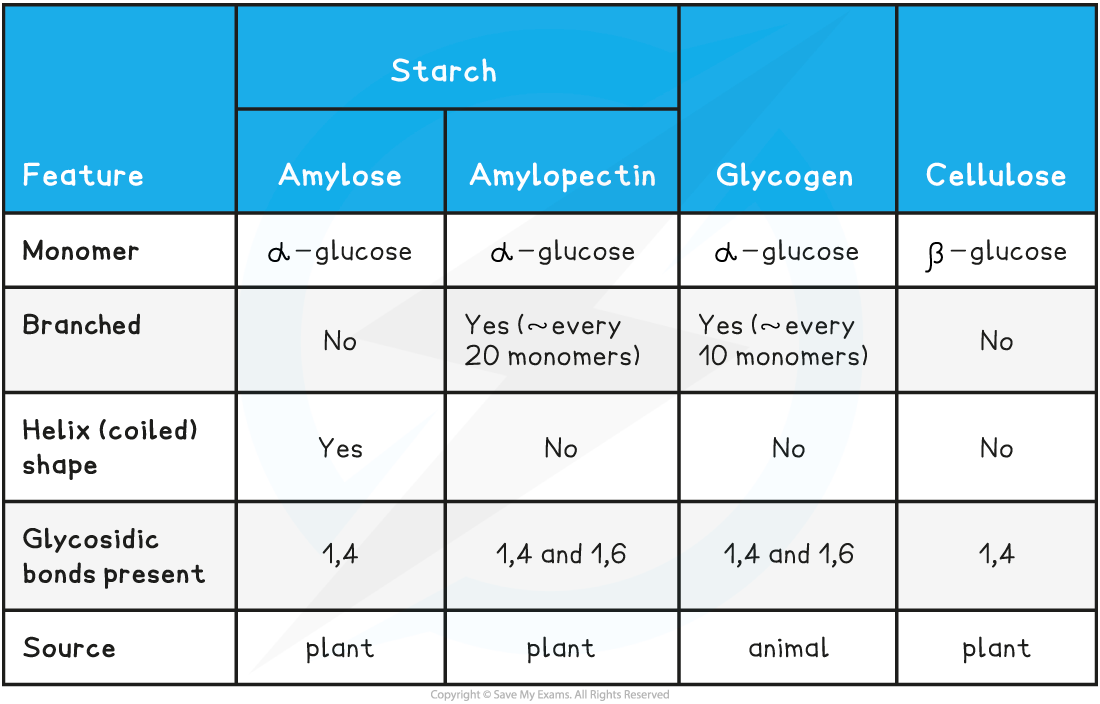 Summary-of-Polysaccharides-Table