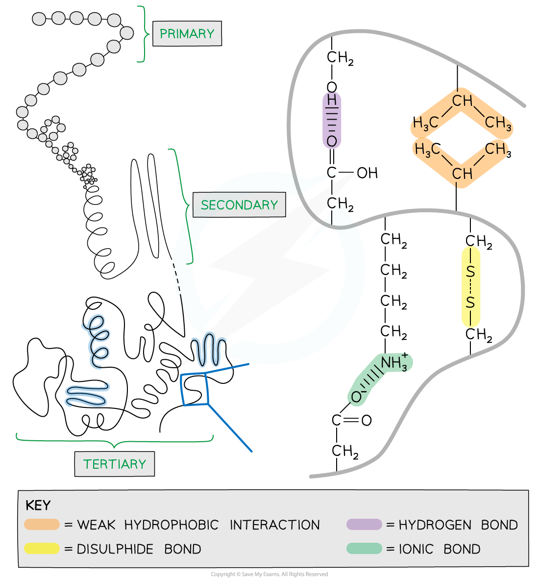 Tertiary-structure