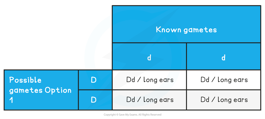 Test-Cross-Possibility-One-Table