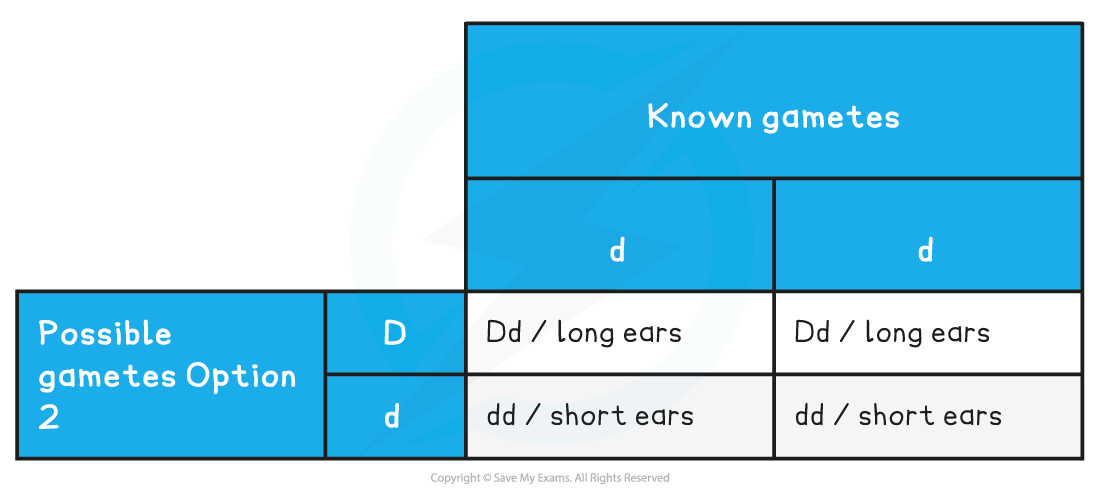 Test-Cross-Possibility-Two-Table