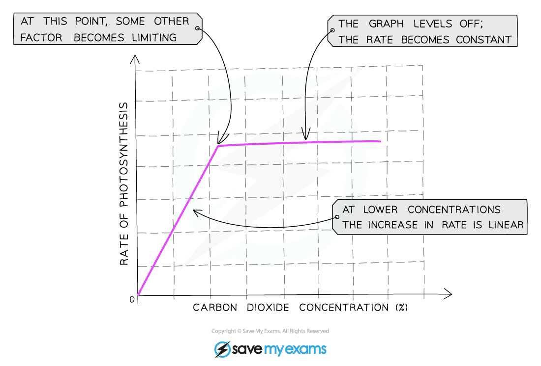 The-effect-of-carbon-dioxide-concentration-on-the-rate-of-photosynthesis