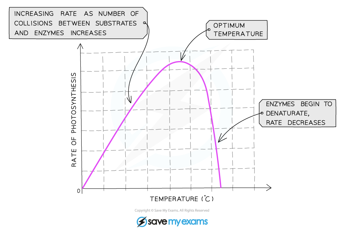 The-effect-of-temperature-on-the-rate-of-photosynthesis