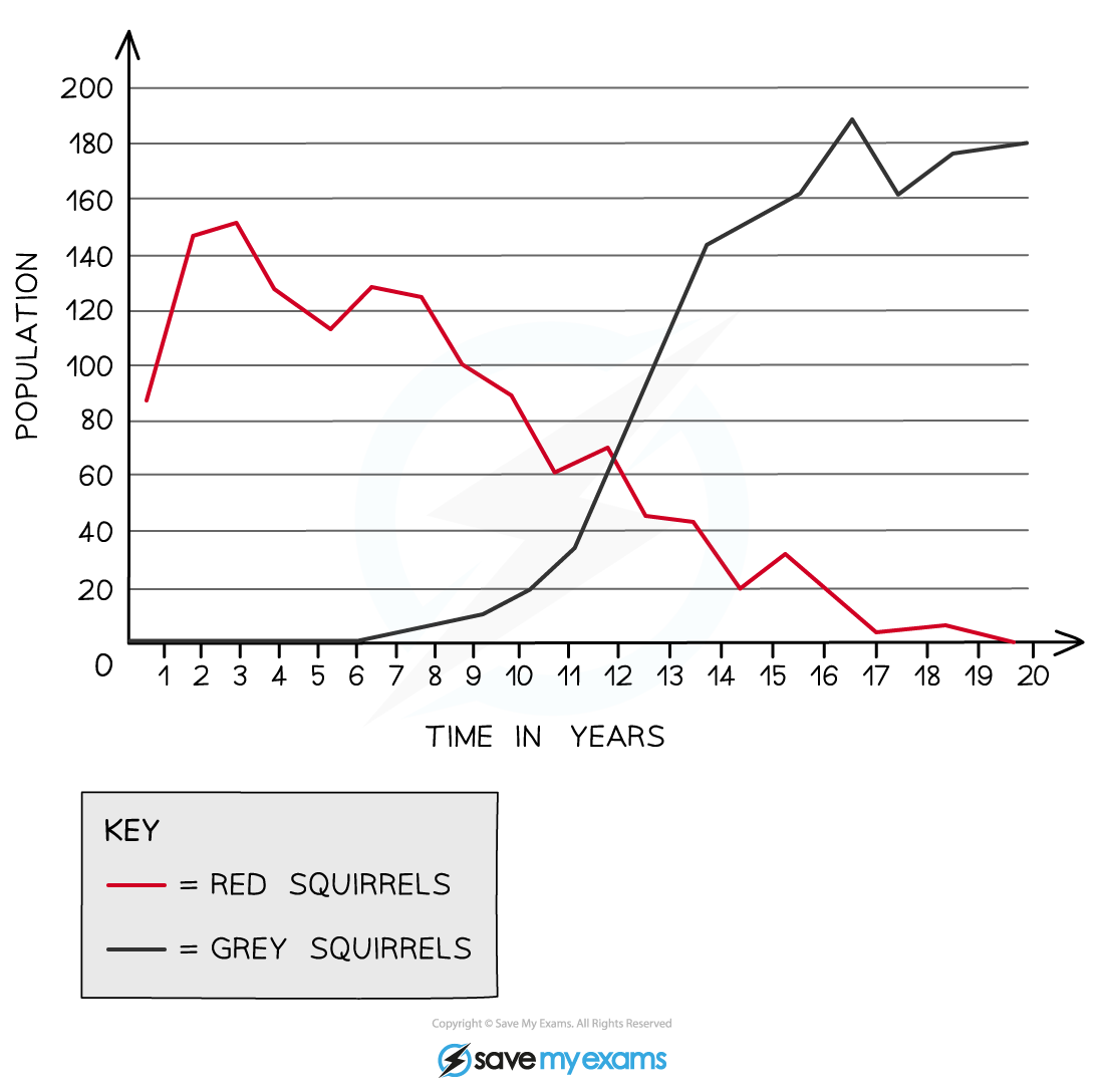 The-relationship-between-a-grey-squirrel-population-and-a-red-squirrel-population-over-time-graph