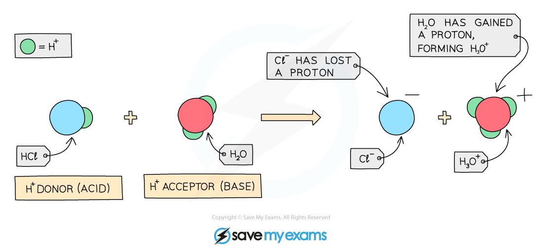 Transfer-of-protons-in-reaction-between-acid-base