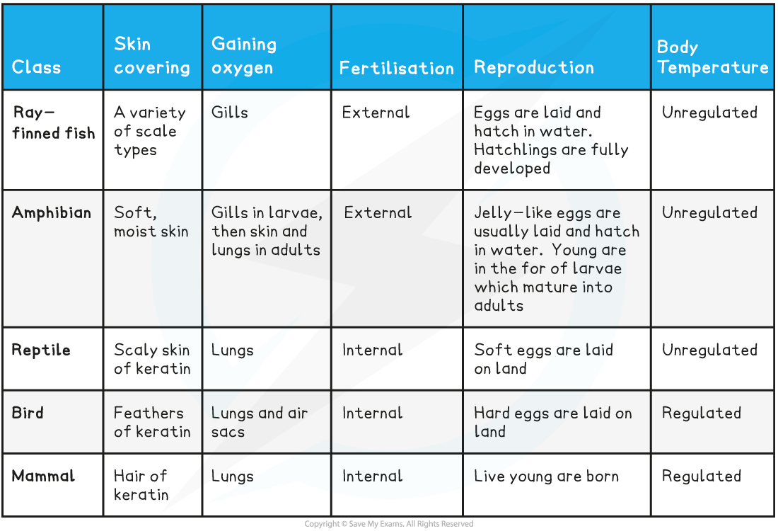 Vertebrate-features-table_1