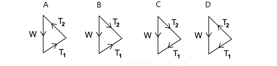 WE-Forces-in-equilibrium-question-image-2_2