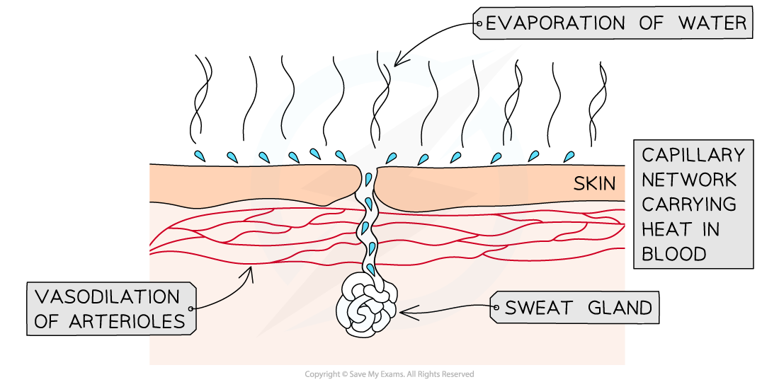 Water-as-a-Coolant