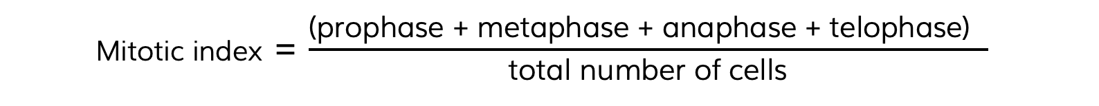 Worked-example-mitotic-index_2