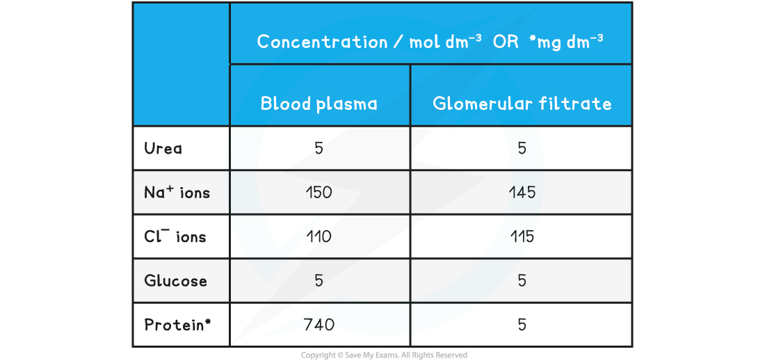 composition-of-the-blood-plasma-compared-to-glomerular-filtrate-table
