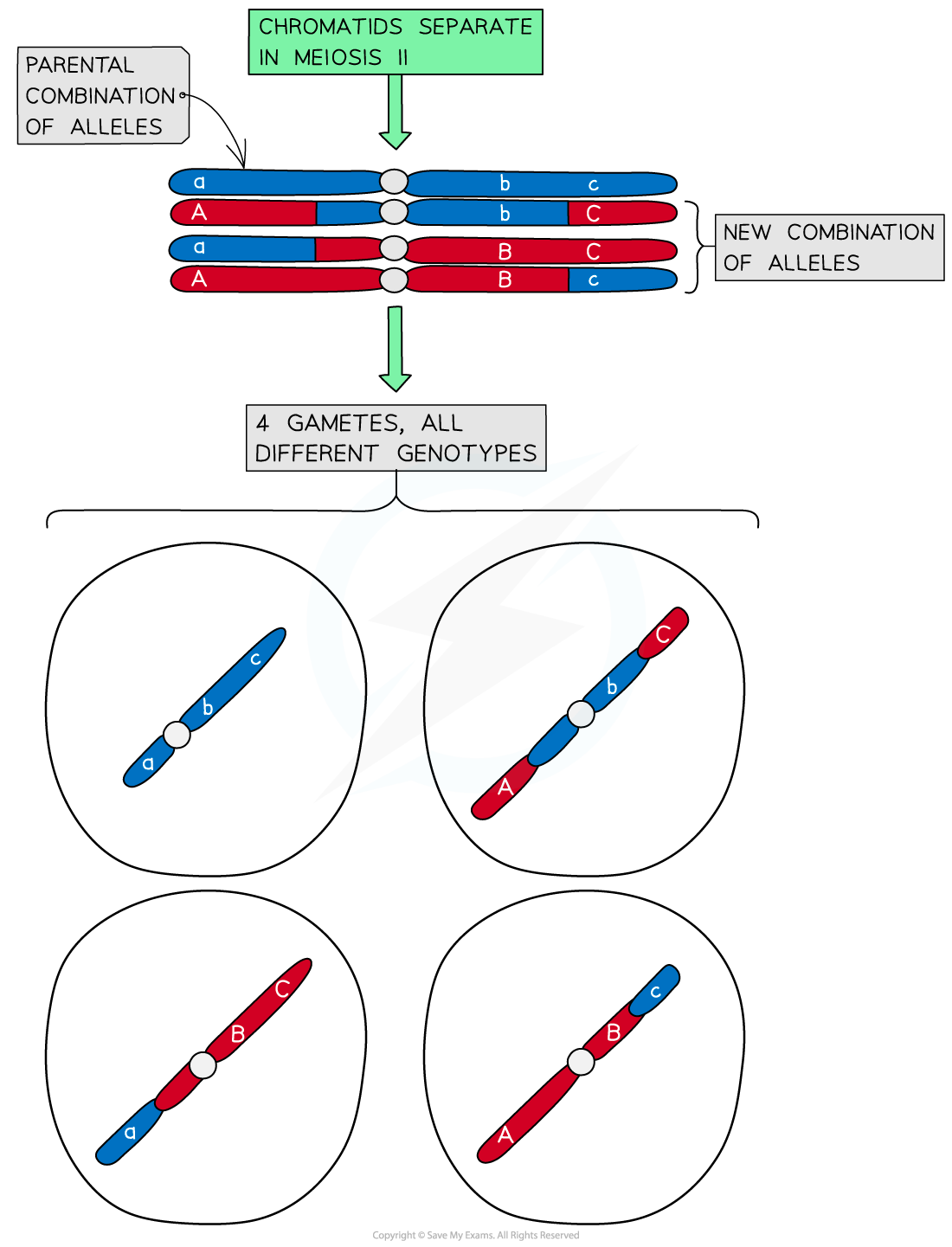 distinct-allele-combinations