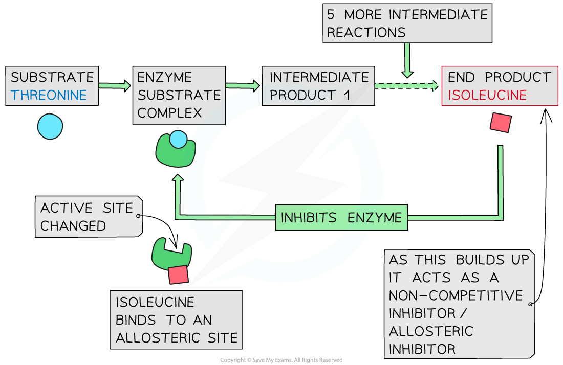 end-product-inhibition