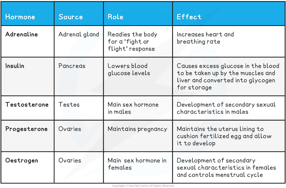 important-hormones_-basic_1